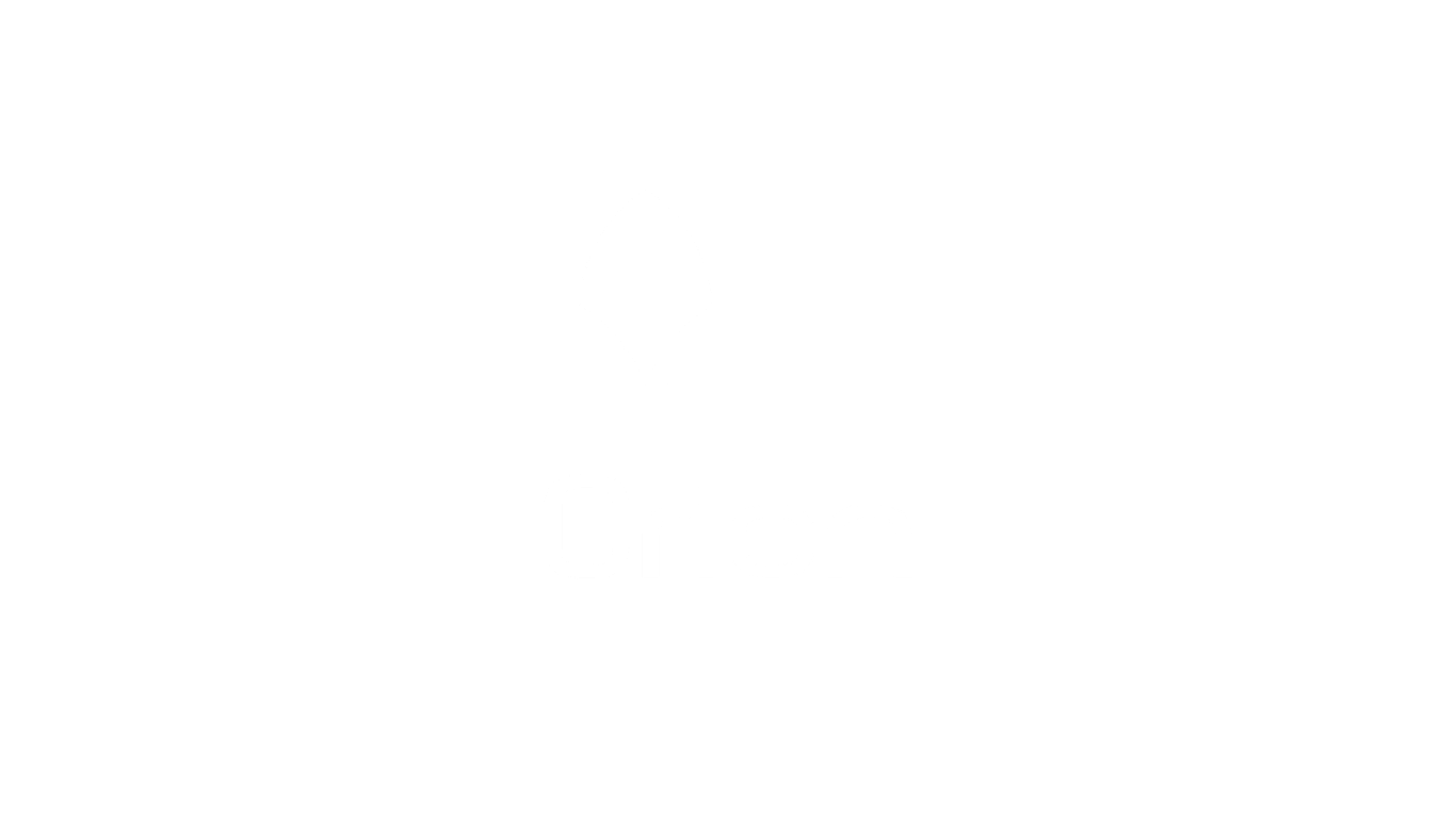 Orion Logo